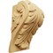 Ekena Millwork 3 3/4"W x 3 1/4"D x 6"H Large Acanthus Leaf Block Corbel, Alder CORW04X03X06BAAL - alternate 1